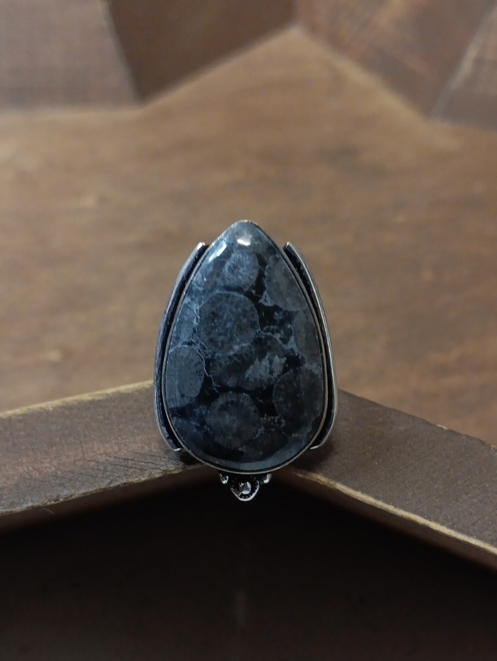 Fossil Coral Stone Ring in Black